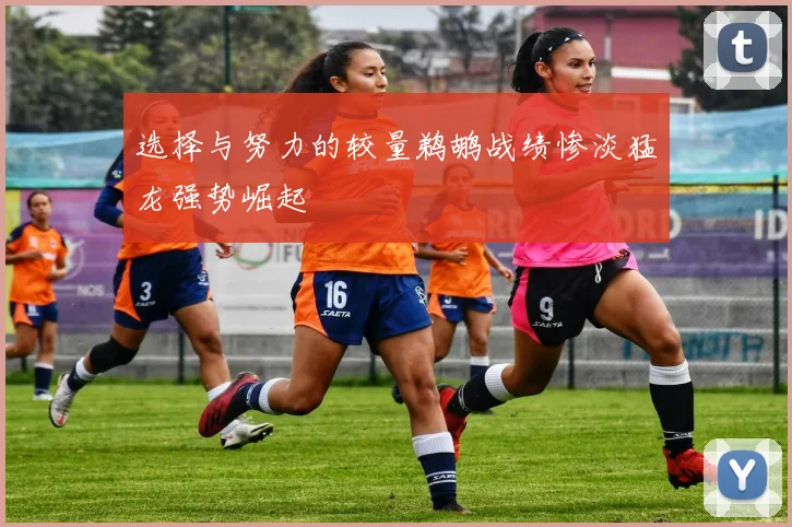 选择与努力的较量鹈鹕战绩惨淡猛龙强势崛起